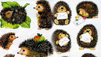 Igel Igel