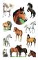Preview: Pferde Sticker Glimmer