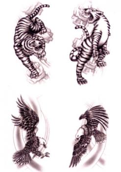 Tattoos Black Art Tiger Adler