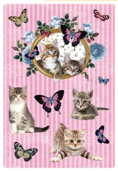 Katzenzauber Papier Sticker