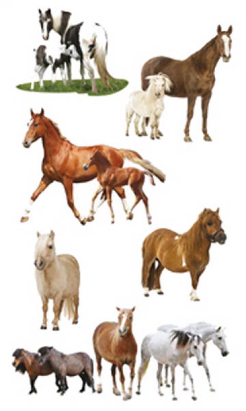 3D Sticker Pferde Familie
