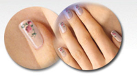 Nail Sticker Nail Sticker