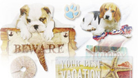 3D Stickers 3D Stickers