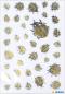 Preview: Creative stickers gold beetle