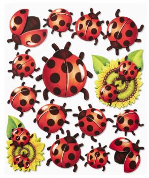 Wall stickers 3D optics XXL-Sticker Ladybug