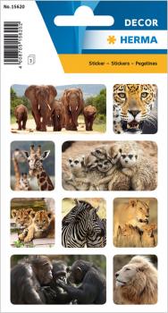 Animals of Africa photo paper stickers