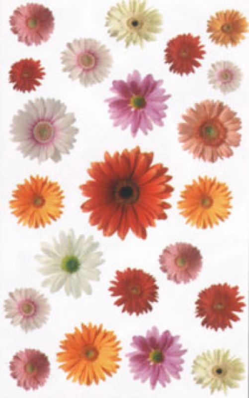 Gerbera Flowers Sticker