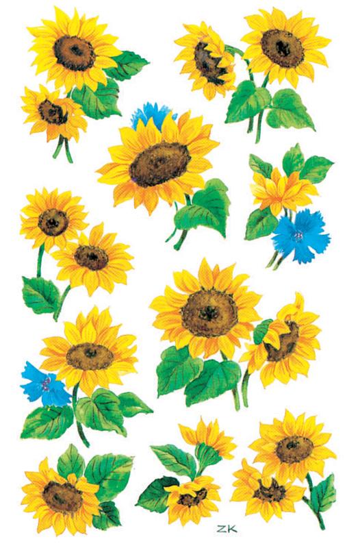 Flowers Sticker Sunflower