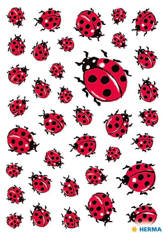 Sticker ladybug paper