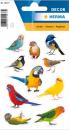 Bird Paper Sticker