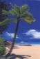 Preview: 3D Sticker Postkarte Palme