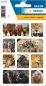 Preview: Animals of Africa photo paper stickers