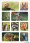 Preview: Forest Animals Photo Paper Stickers