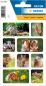Preview: Rodents photo paper stickers