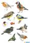 Preview: Bird Paper Sticker