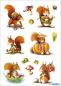 Preview: Autumn Squirrel Sticker