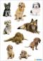 Preview: Hunde Papier Sticker