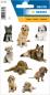 Preview: Hunde Papier Sticker
