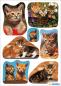 Preview: Katzen Foto Papier Sticker