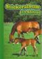 Preview: Sticker album A5 Horse