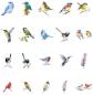 Preview: Deco foil stickers birds 40 pieces