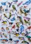 Preview: Deco foil stickers birds 40 pieces