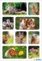 Preview: Rodents photo paper stickers