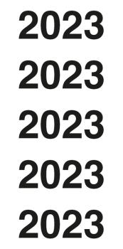 Year dates 2023 white