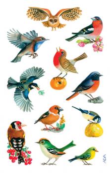 Birds paper sticker painted
