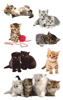Preview: Papiersticker Katze