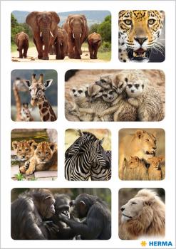 Animals of Africa photo paper stickers