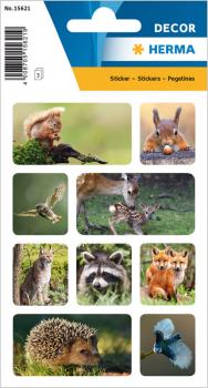 Forest Animals Photo Paper Stickers