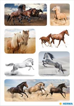 Sticker wild horses paper
