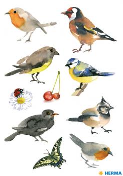 Bird Paper Sticker