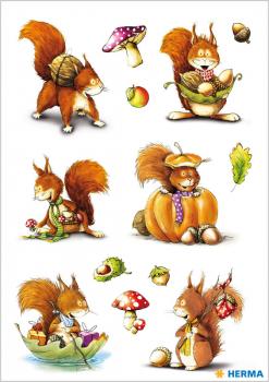 Autumn Squirrel Sticker