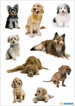 Hunde Papier Sticker
