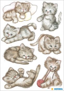 Droll kitten paper stickers