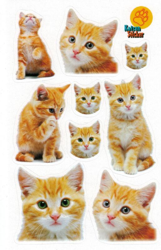Katzenkinder Sticker