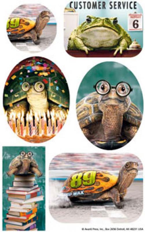 Schildkröten Papier Sticker