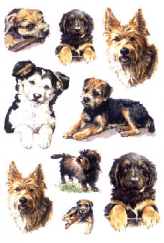 Dogs Paper Sticker