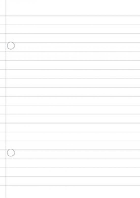 Carbonless Paper A4 ruled 2x50Blatt