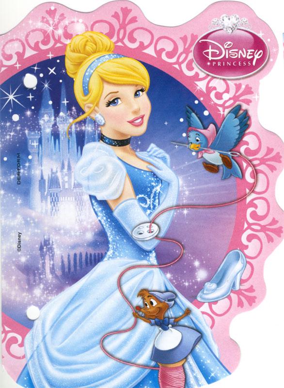 6 Insert Sheets A6 Princess