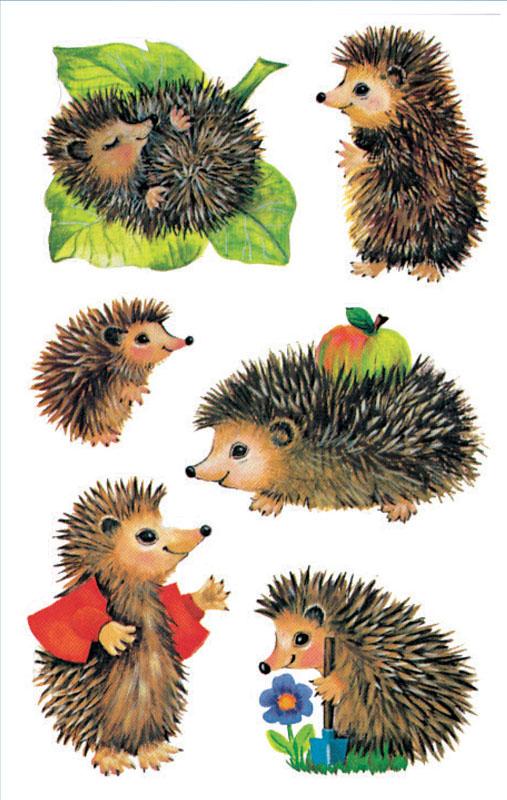 Igel Papier Sticker