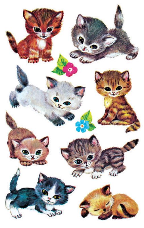Katzen Papier Sticker