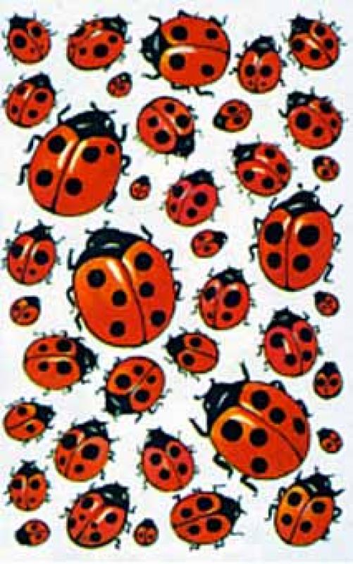 Shimmerz 5D Nagelsticker – Blumen, Bienen, Marienkäfer & Schmetterlinge Selbstklebend
