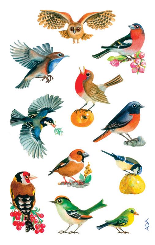 Birds paper sticker painted