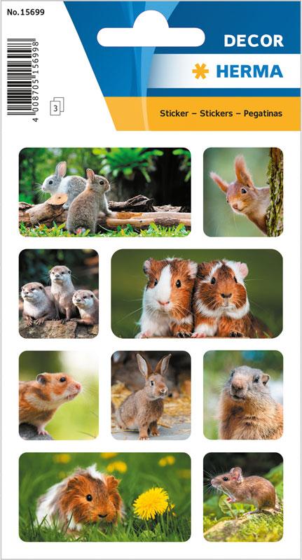 Rodents photo paper stickers