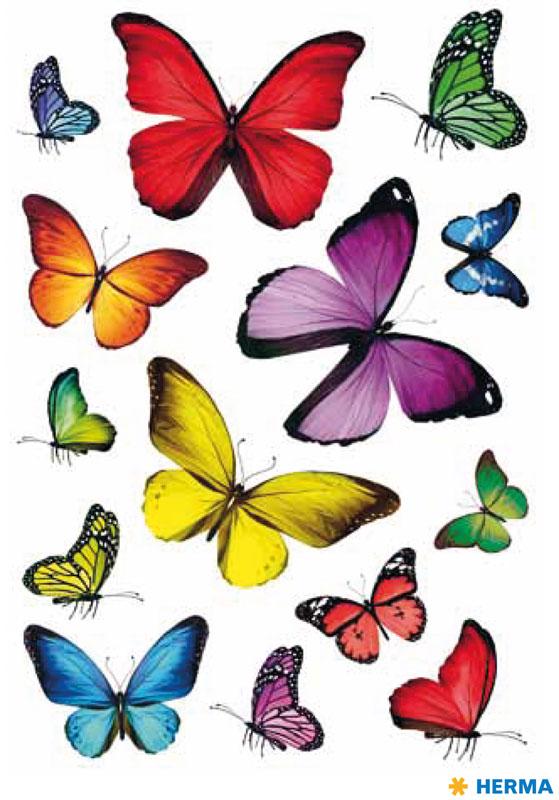 Sticker butterfly variety