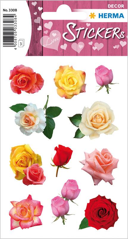 Flowers rose petals