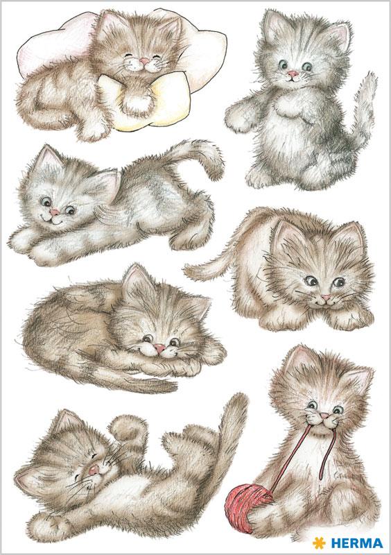 Droll kitten paper stickers